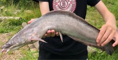 Angelpark Hof Holm-3