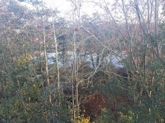 Angelpark Hof Holm-1