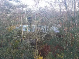 Angelpark Hof Holm-1