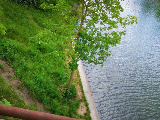 Langerhanskanal (Rüdersdorf)-3