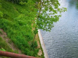 Langerhanskanal (Rüdersdorf)-3