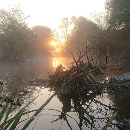 Lahn (Weimar/Lahn)-1