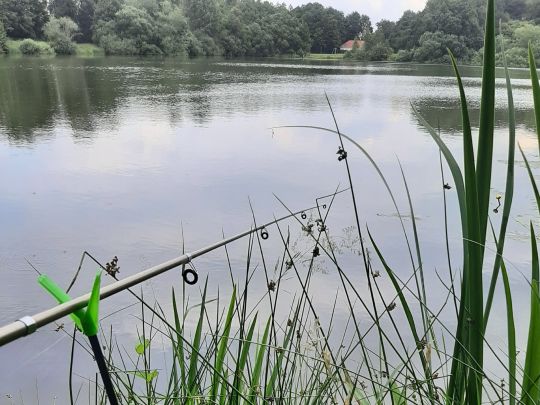 Maiglöckchensee