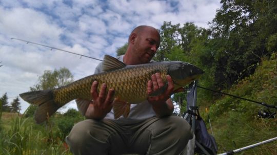 See 1 (Marktsteft)-0