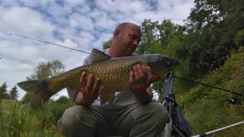 See 1 (Marktsteft)-0