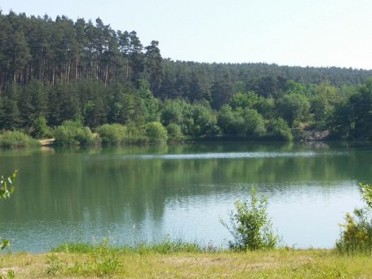Mosbacher Baggersee angeln