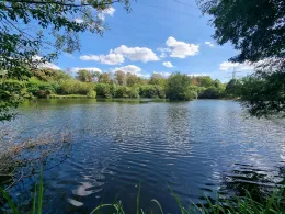 Weiher unter der Hochspannung-2