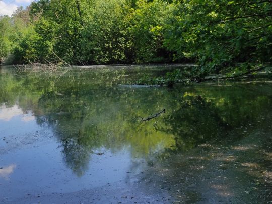 Weiher unter der Hochspannung-1