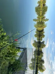 Köhnsee (Kläden)-2