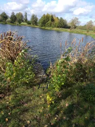 Köhnsee (Kläden)-1