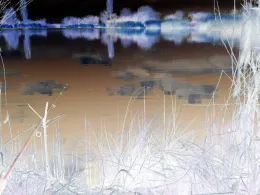 Tonkuhle Winningen-1