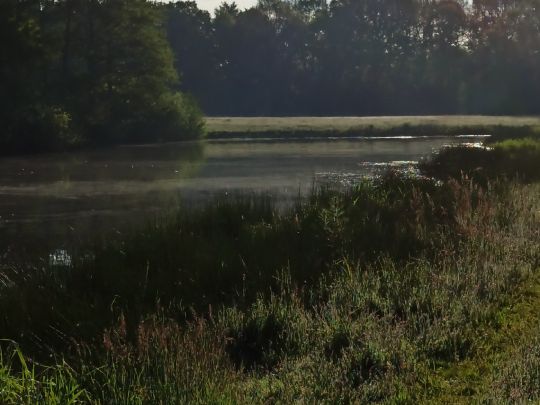 Baggerkuhle Quakenbrück-1