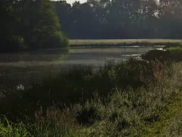 Baggerkuhle Quakenbrück-1