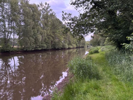 Baggerkuhle Quakenbrück-3