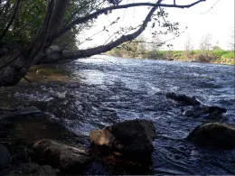 Rur (Brachelen-Körrenzig)-1