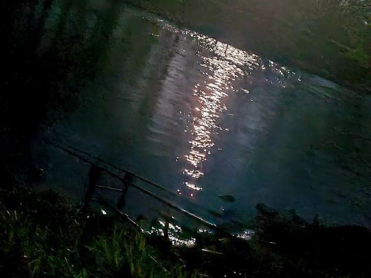 Rur (Brachelen-Körrenzig)-4