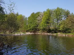 Rur (Brachelen-Körrenzig)