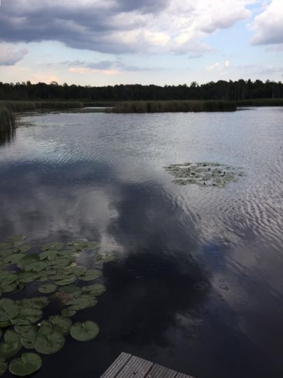 Pechteich (Neuliebel)-1