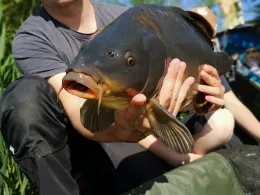 Pechteich (Neuliebel)