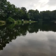 Angelseen Bissenmoor (Teich 1)-3