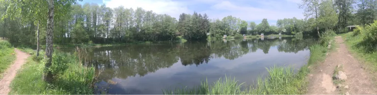 Angelseen Bissenmoor (Teich 1)-1