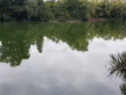 Moorteich (Darmstadt)