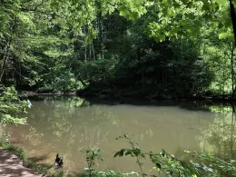 Angelsport & Fischzucht Neumühle-1