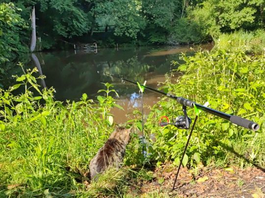 Angelsport & Fischzucht Neumühle-3
