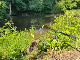 Angelsport & Fischzucht Neumühle-3