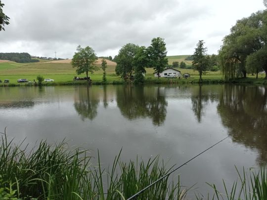 Landschaftsweiher Niederkirchen-1