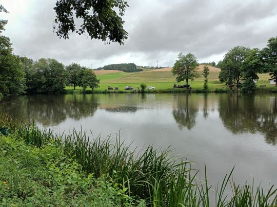 Landschaftsweiher Niederkirchen