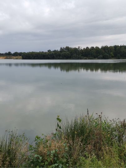 Kalksandsteinsee Holdorf-1