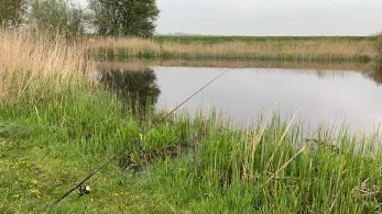 Alte Treene Papenbrook