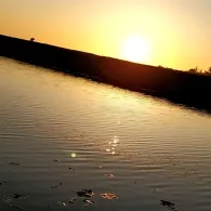 Alte Treene Papenbrook-1