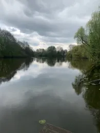 Dove Elbe (Wilhelmsburg)-1