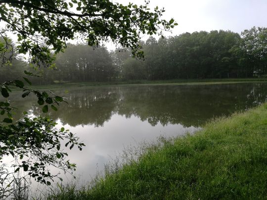 Teichanlage Neunkhausen