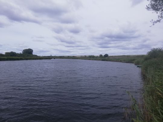 Krummer See (Letzin)-3