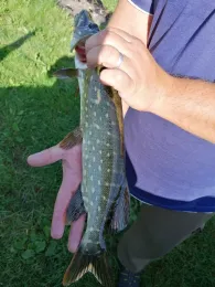 Krummer See (Letzin)-1