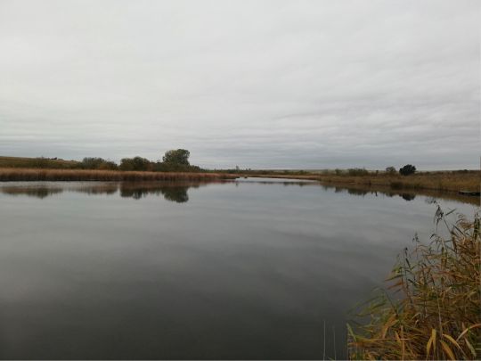 Krummer See (Letzin)-2