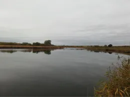 Krummer See (Letzin)-2