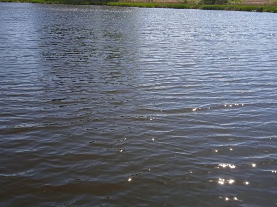 Krummer See (Letzin)-4