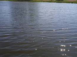 Krummer See (Letzin)-4