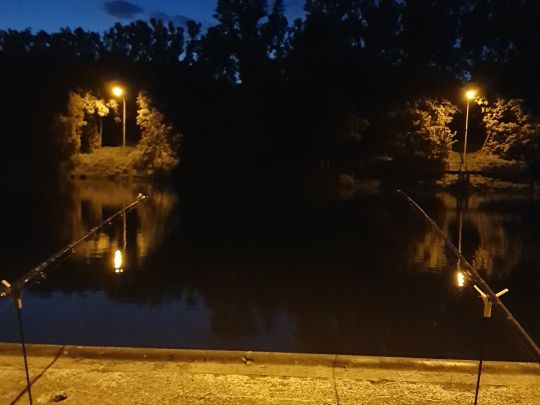 Neckar-Schiffahrtskanal (Horkheim)-2