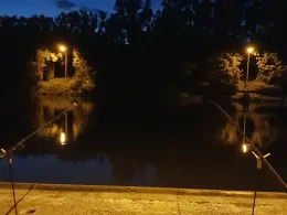 Neckar-Schiffahrtskanal (Horkheim)-2