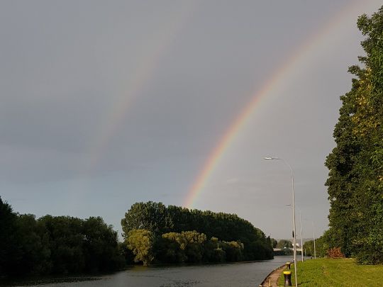 Neckar-Schiffahrtskanal (Horkheim)-1