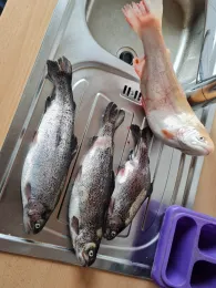 Forellenhof Stumpenser Mühle