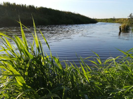 Süderau (Meldorf)-2