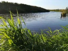 Süderau (Meldorf)-2