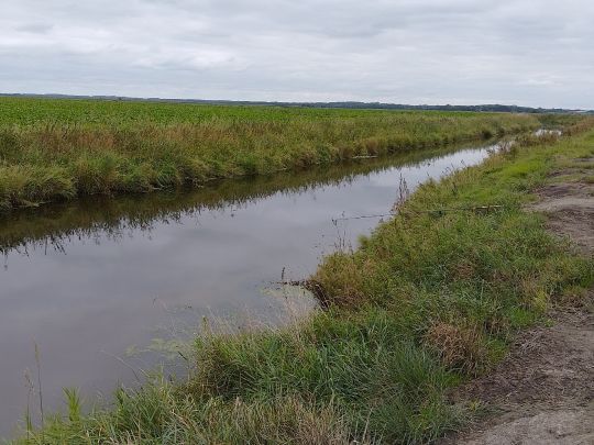 Süderau (Meldorf)-4