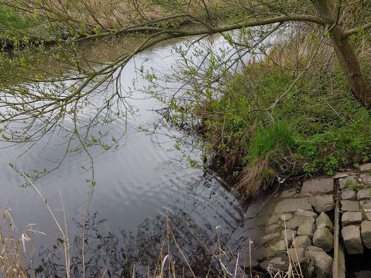 Süderau (Meldorf)-3